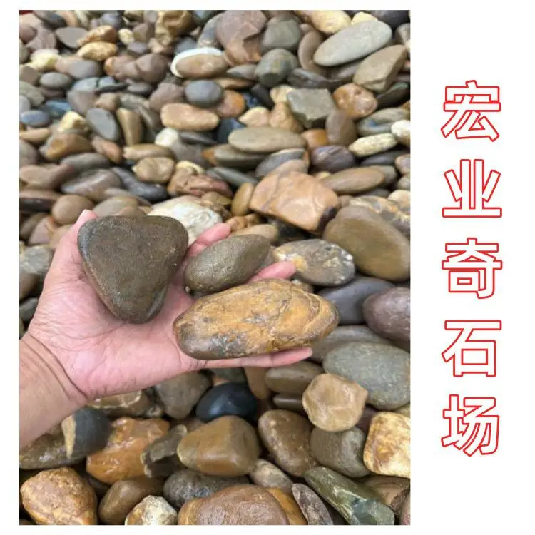 揭阳工程水洗鹅卵石，变电站垫层杂色卵石，电力基建铺路造景石料