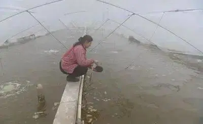 雷茨工厂化养水产养殖高速离心风机相对传统风机节能60%
