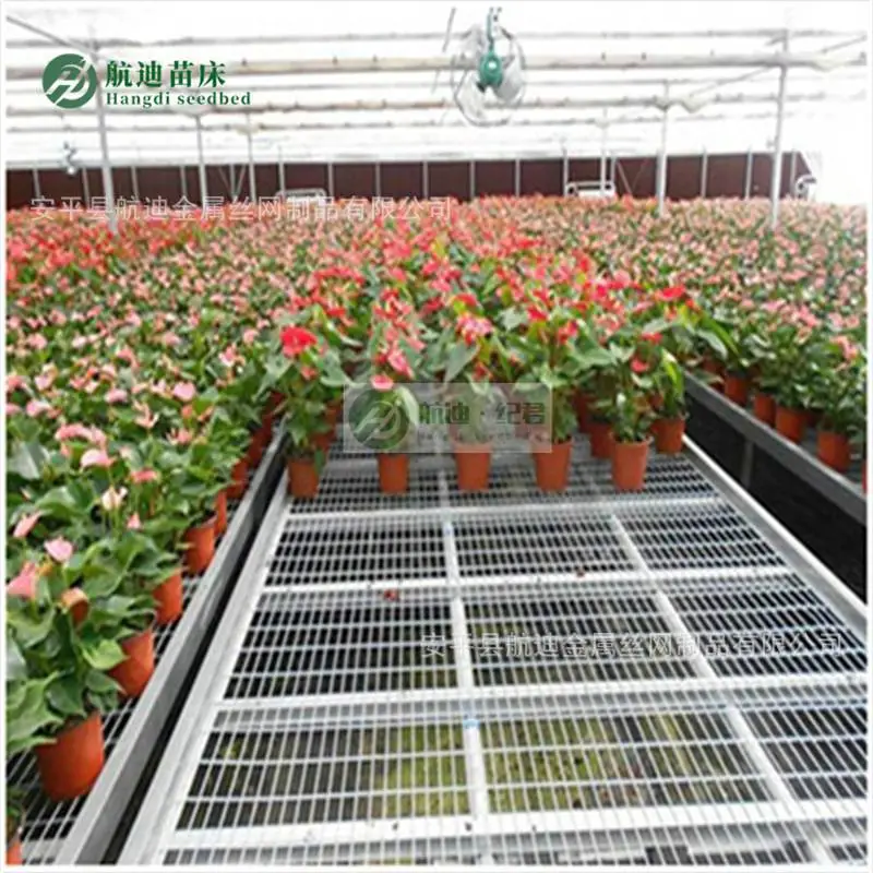 移动苗床自有生产工厂 温室工程直供 无中间商批量供货