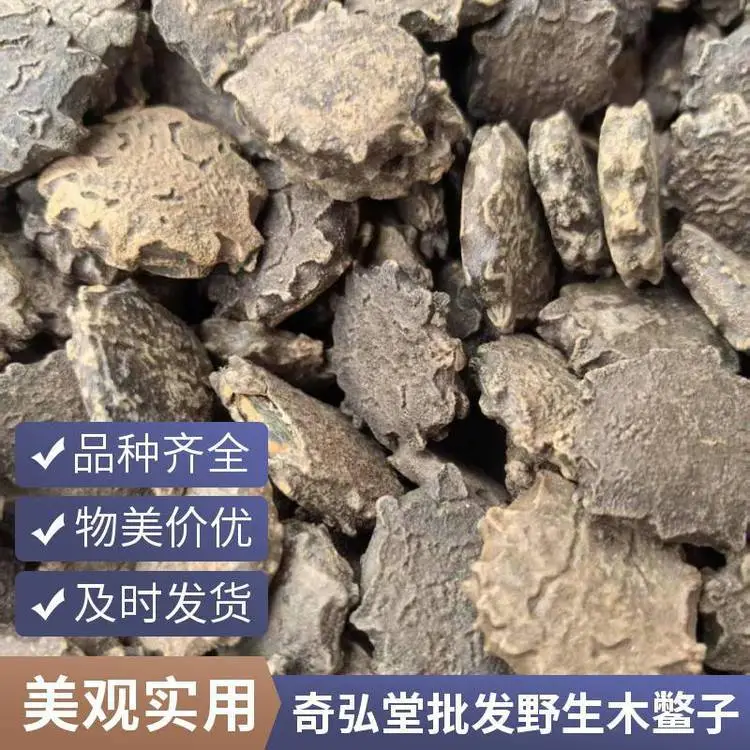 产地批发中药材 木鳖子 含量高效果好 全国发货
