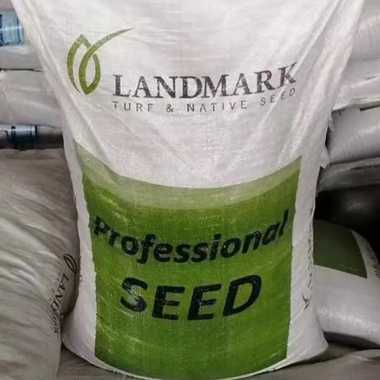 销售紫荆树种子松果菊花籽道路旁边净籽红三叶草籽