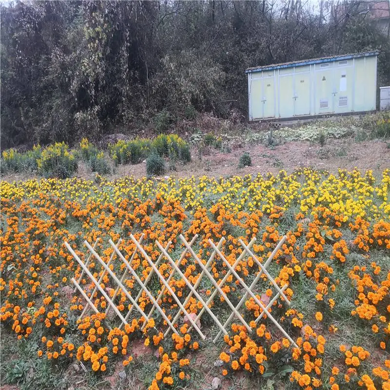 黄石西塞山草坪围栏菜园竹拉网竹篱笆竹栅栏