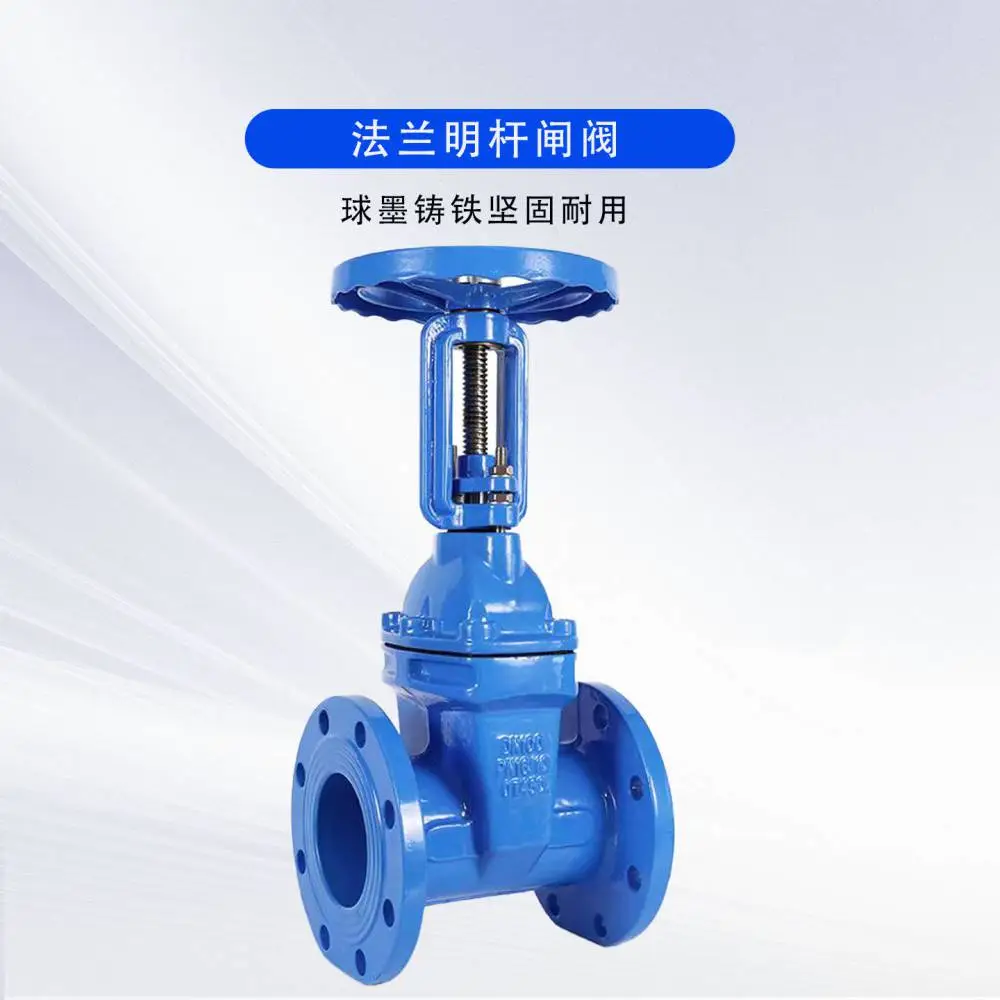 博雷智慧博雷特良工沪工法兰式软密封明杆闸阀Z41X-16Q25Q