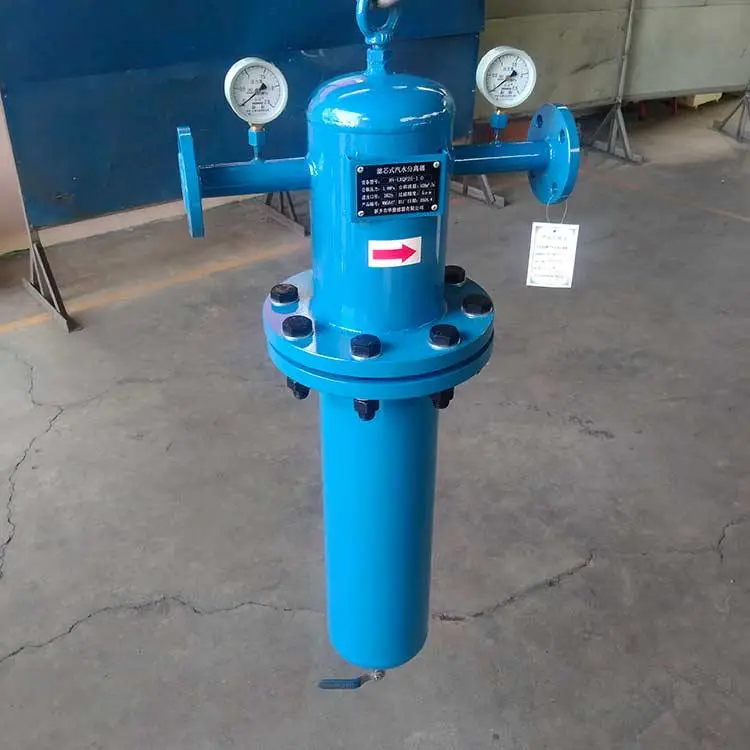 嘉硕环保HY-LXQF25-1.0 滤芯式汽水分离器 DN25 1.0MPa 气体除水过滤