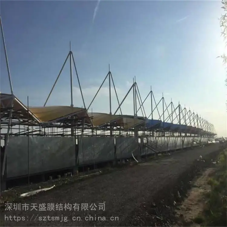 山西吕梁离石舞台膜结构ETFE膜结构施工
