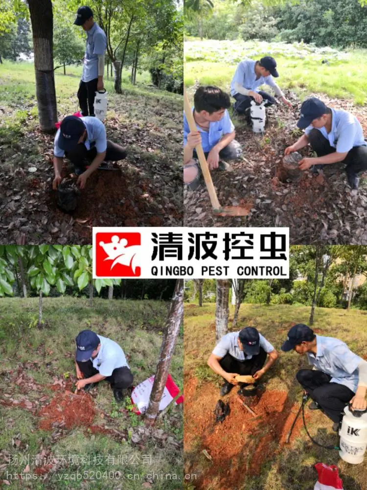 仪征灭白蚁公司|高邮灭白蚁公司|宝应灭白蚁公司|仪征防白蚁公司|高邮防白蚁公司|宝应防白蚁公司