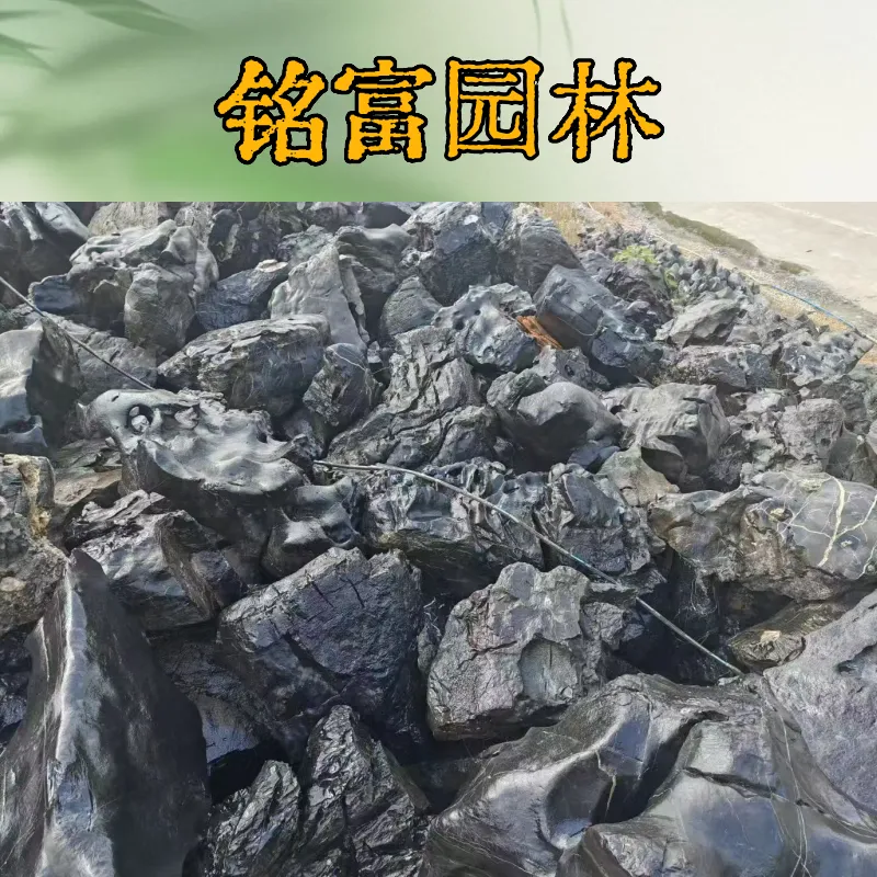 广 东的黑太 湖石成当地的大产业，自己开采黑太 湖石自己销售太 湖石