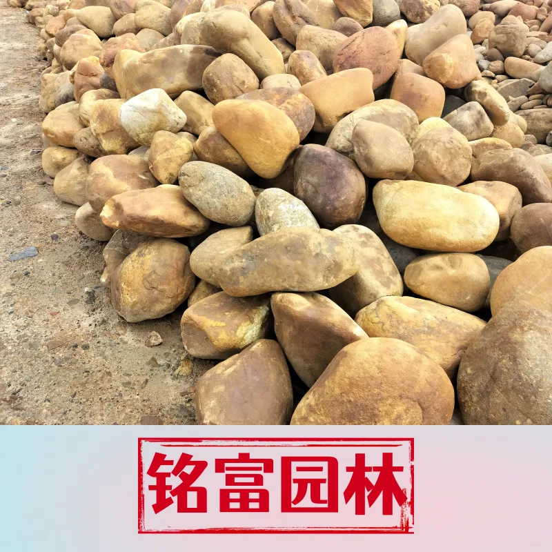 大型黄蜡石堆场，每一块黄蜡石都是从河道里捡的，小块黄蜡石用途