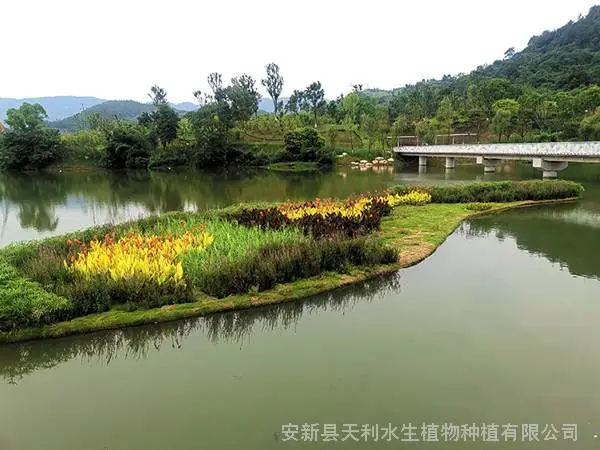 复合纤维浮动湿地,水体绿化植物浮岛,人工浮岛