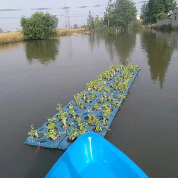 人工浮床技术指导安装 栽植水生植物绿化造景改造工程 景观喷泉