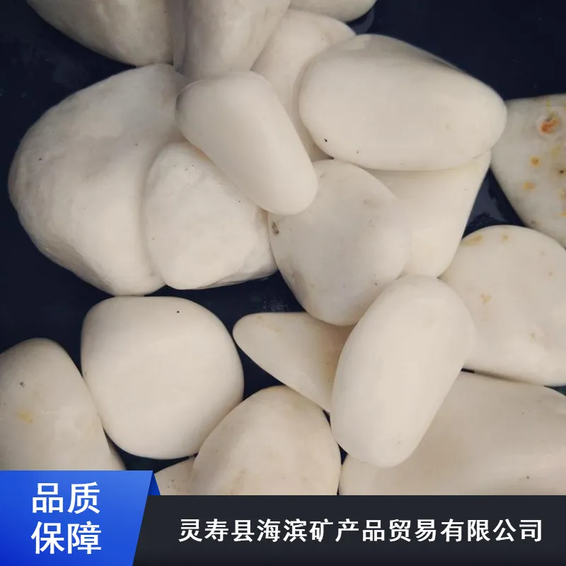 供应彩色石子 山东树坑用彩色石子 白色石子白石子