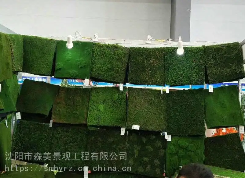 学校假苔藓绿植墙花艺软装植物造景
