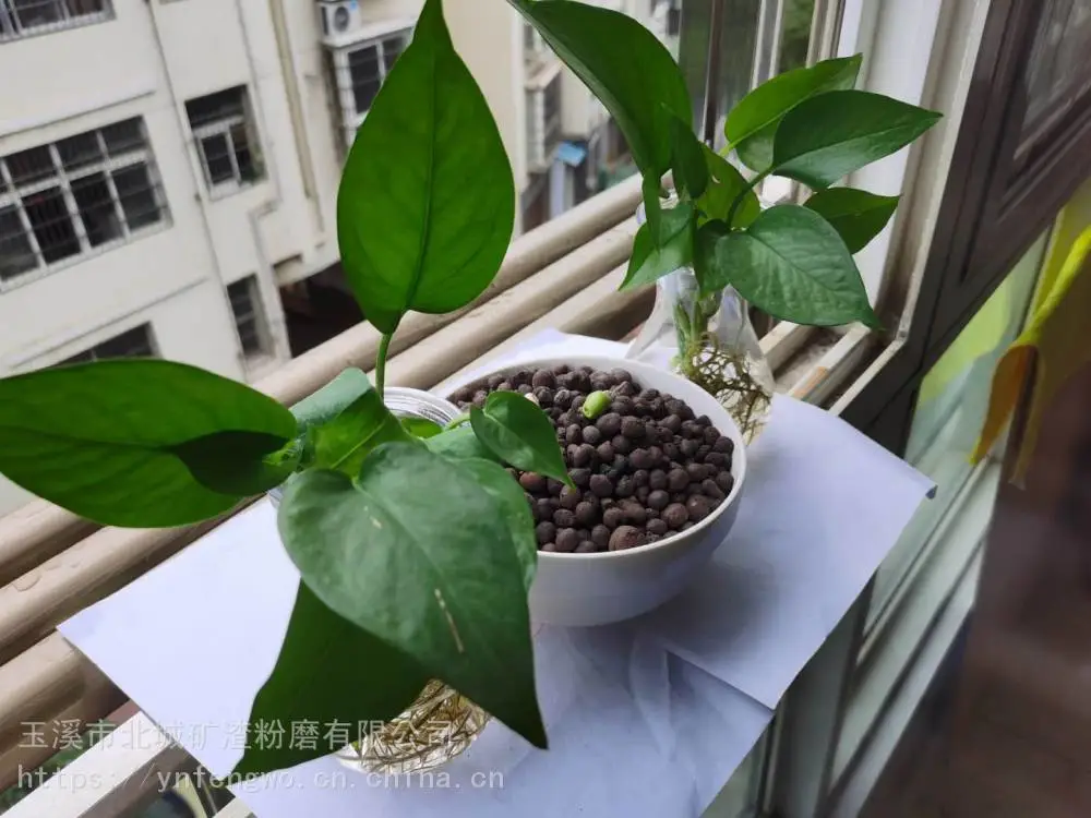 陶粒价格 回填陶粒厂家 昆明45*85