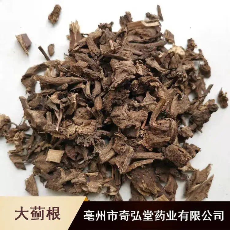 药用野生天性草根_中草药大蓟根_奇弘堂大蓟根批量供应