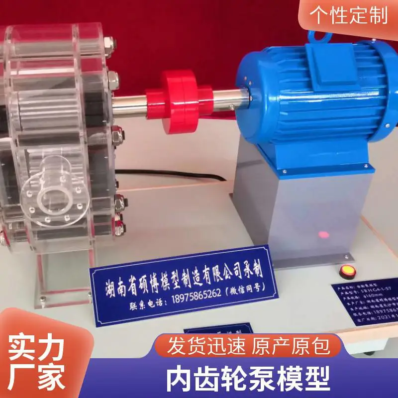 硕博 齿轮油泵模型 亚克力 不锈钢材质 教学展览用xb-clbmx定制