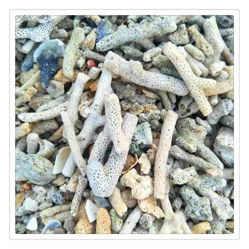 海滨供应珊瑚砂 造景珊瑚砂 养殖用珊瑚砂