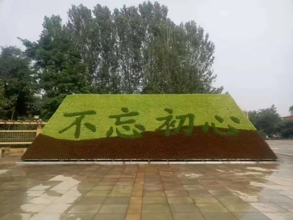 立体绿雕五色草花坛春节灯光结合绿雕2022欢度春节雕塑