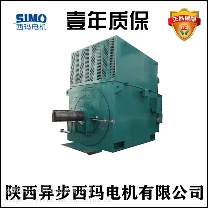 西安西玛电机厂Y5005-2/1120KW/10KV高压电机技术要求(可根据要求定制)