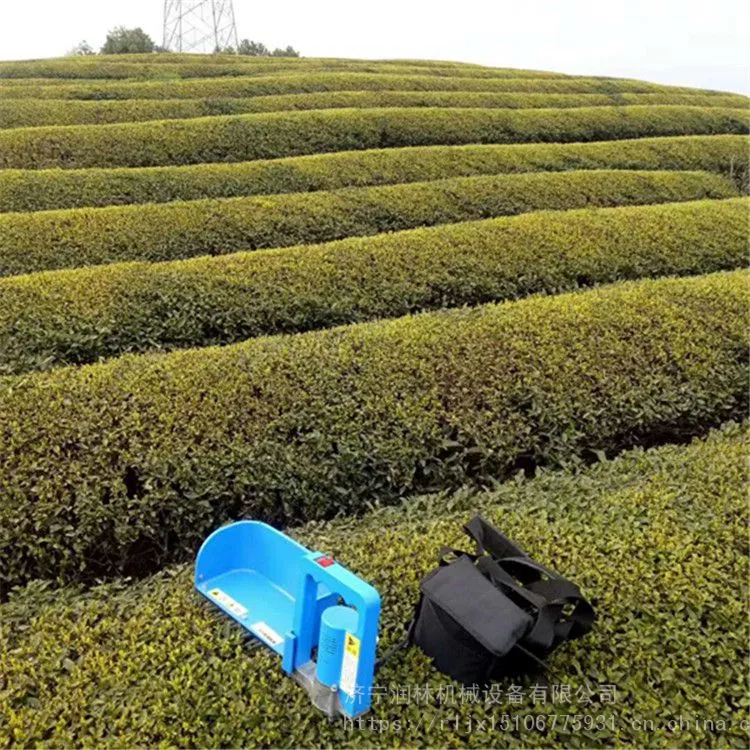 润林 无刷电动采茶机 单人便携式小型采摘机 充电手提式茶叶修剪机