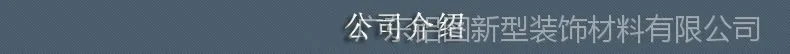 公司介绍