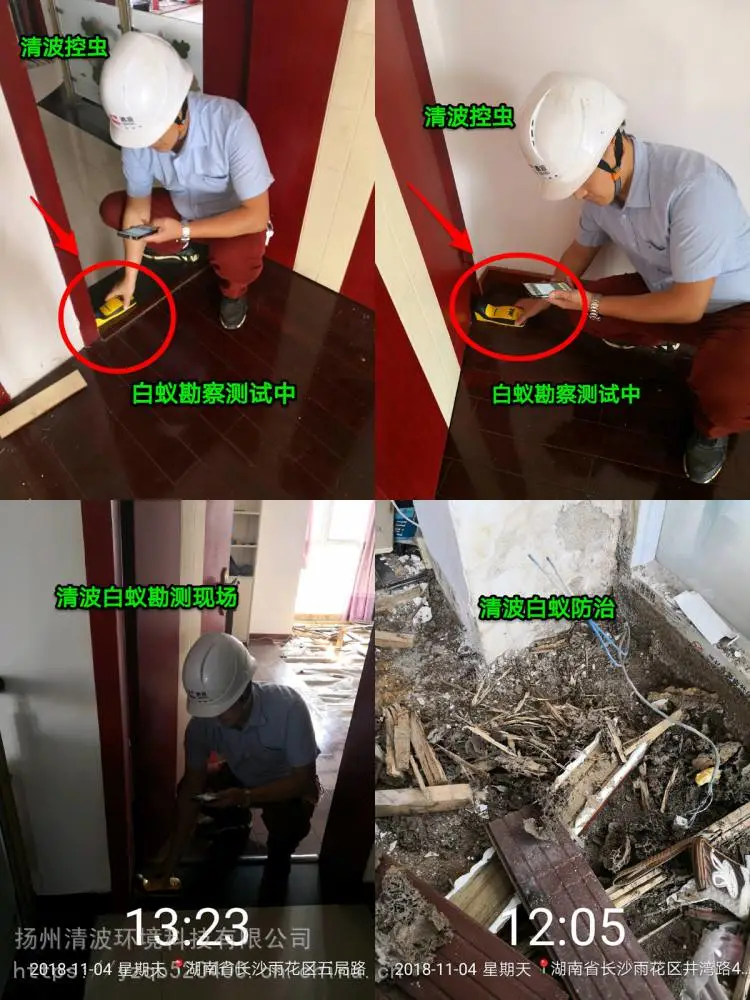 兴化灭白蚁公司|泰兴灭白蚁公司|靖江灭白蚁公司|兴化防白蚁公司|泰兴防白蚁公司|靖江防白蚁公司