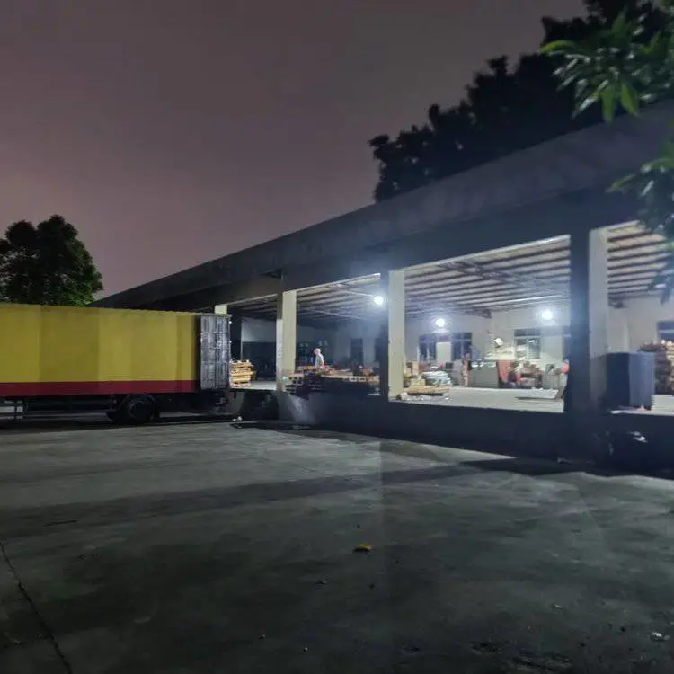 中国至越南河内胡志明专线货运双清包税到门时效3-5天