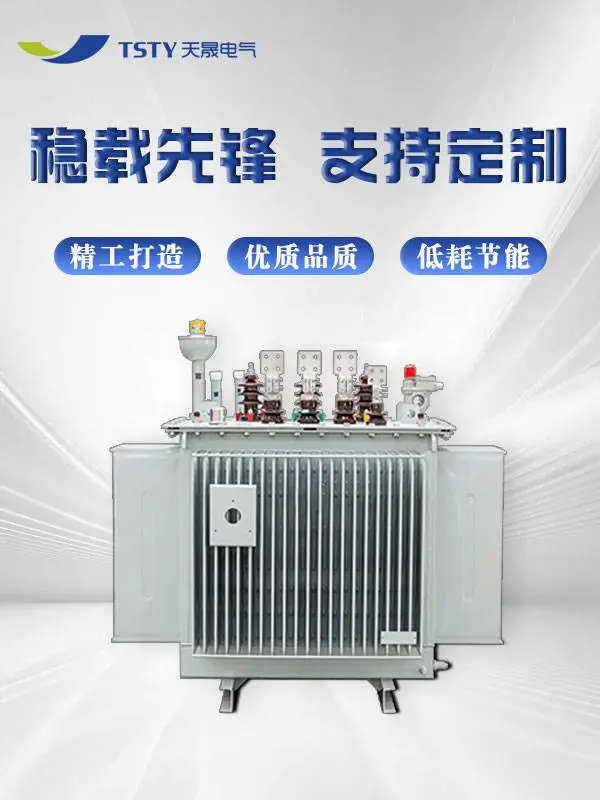 天晟电气油浸式10kv变压器