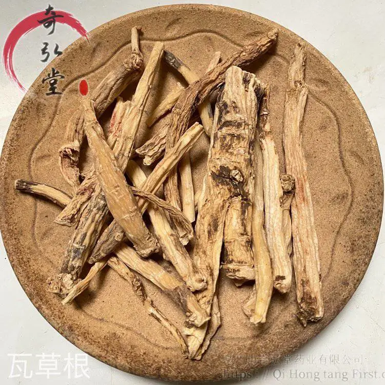中药材瓦草根-瓦草根的药用价值