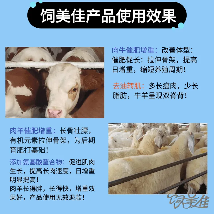 饲美佳 牛催肥天然添加剂 羊催肥饲料添加剂 改善体型多长瘦肉