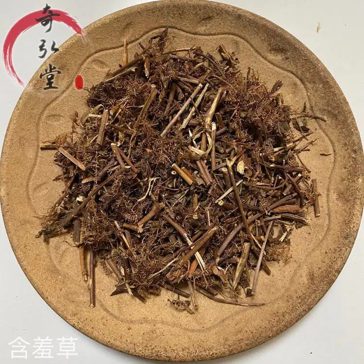 中药材含羞草-含羞草的药用价值