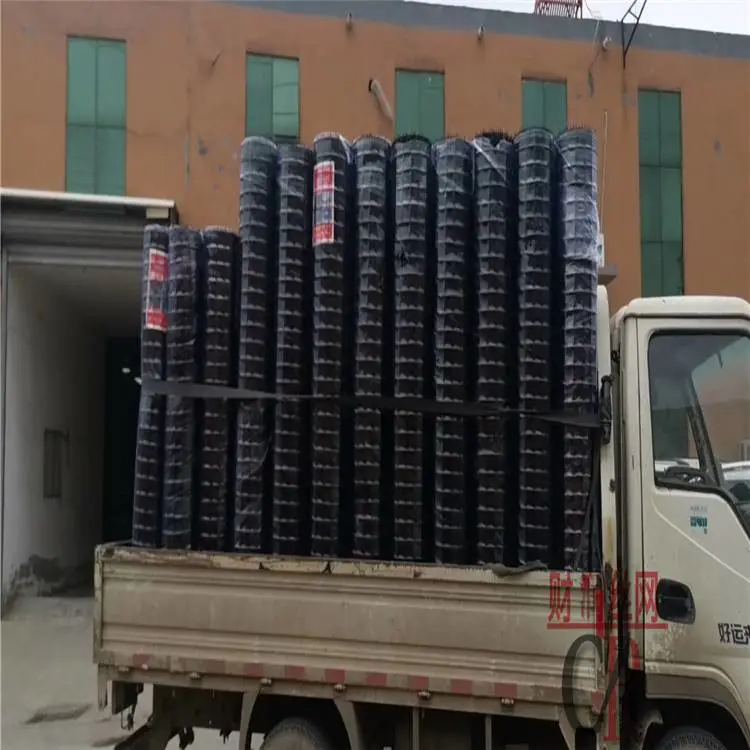 果园围网 安平县财润 荷兰网护栏厂家 荷兰网价格