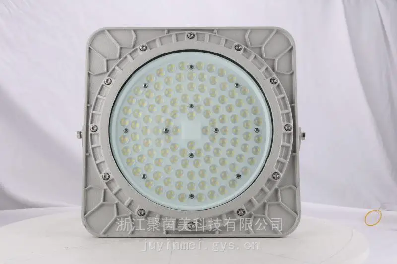 LED防爆灯50W隔爆型防爆灯200W大功率投光灯300W