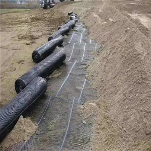 聚乙烯单向塑料拉伸土工格栅——世嘉土工材料