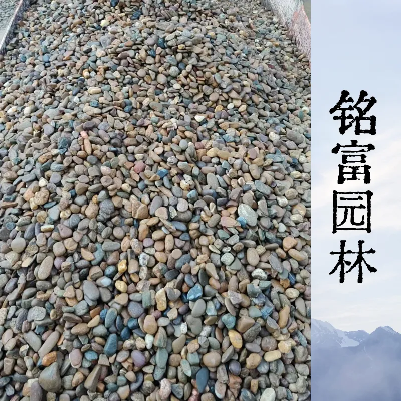 广 州500千伏海 珠输变电工程需要700-1000吨5-8公分鹅卵石