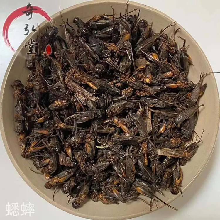中药材蟋蟀正品新货药材货真价实原料包邮