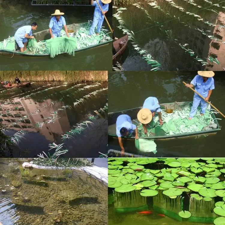 河道河涌黑臭水体治理仿生水草生物修复技术净化黑污水去除有机物