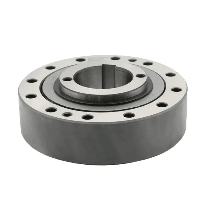 瑞班逆止器*** 瑞班逆止器***中国NFS200逆止器 M