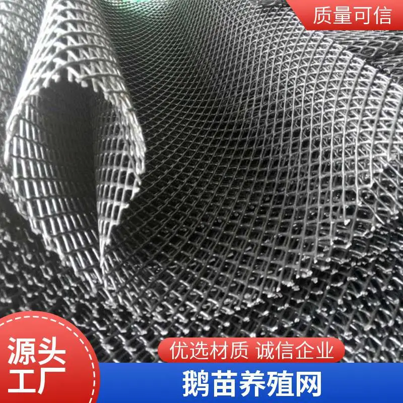 群恒 塑料鸡鸭漏粪网 pe材质 原包料生产制作 耐腐蚀