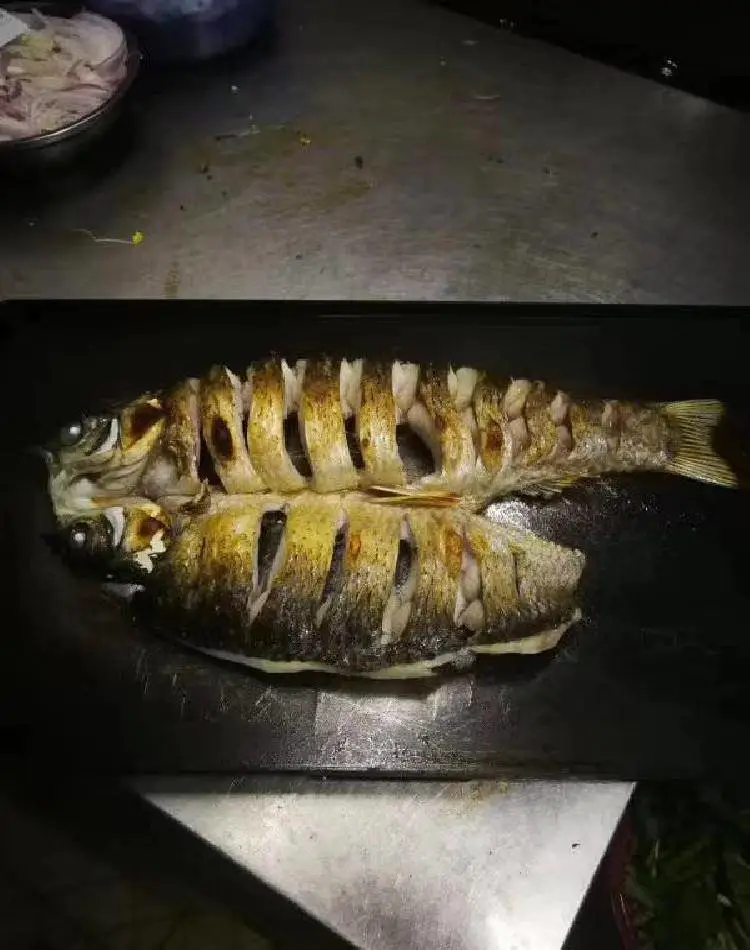 四川阿坝 烤鱼箱多少度够啊? 玖子仟弘电烤箱厂家