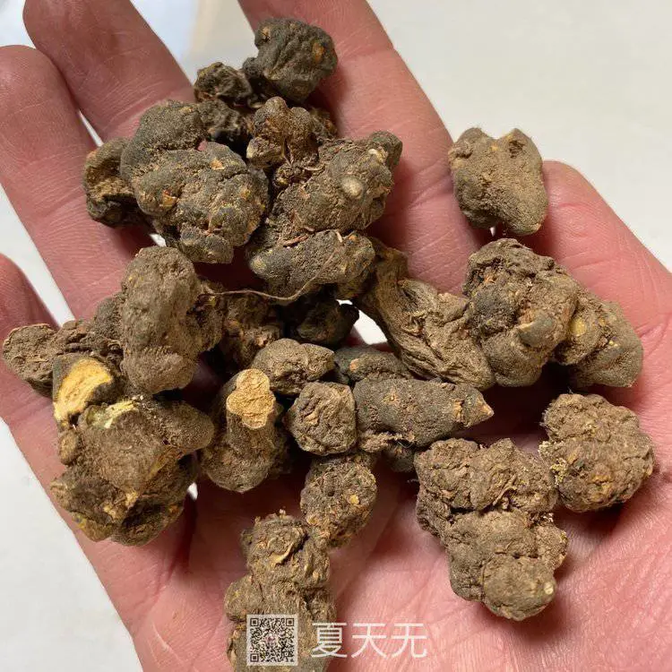 中药材夏天无/夏天无的价格