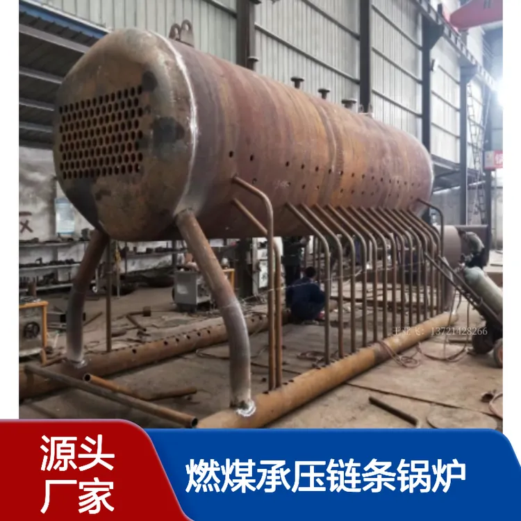 生物质热水锅炉 燃煤承压链条锅炉 DZL2.8mw 4吨 供暖使用