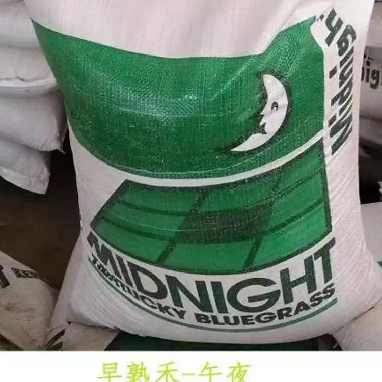 黄柏树种子蓝蓟花籽道路旁边绿化高羊毛草坪草籽