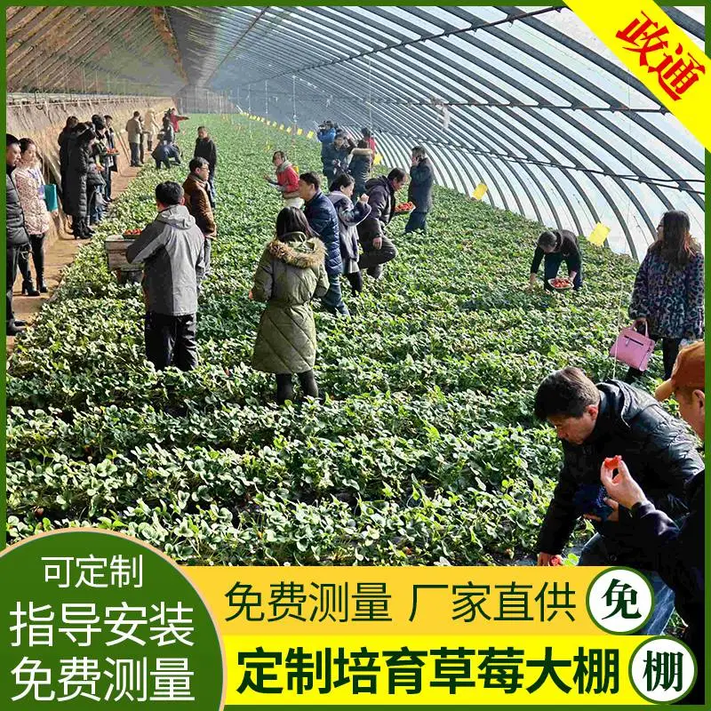 江西宜春钢管大棚骨架维修换膜