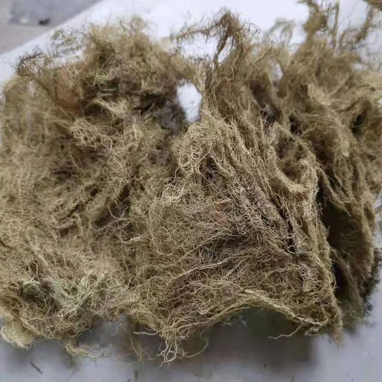 中药材云雾草/云雾草的功效与作用