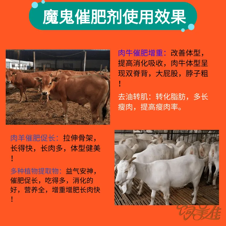 饲美佳 架子牛催肥剂 羊用催肥促长添加剂 改善体型多长瘦肉