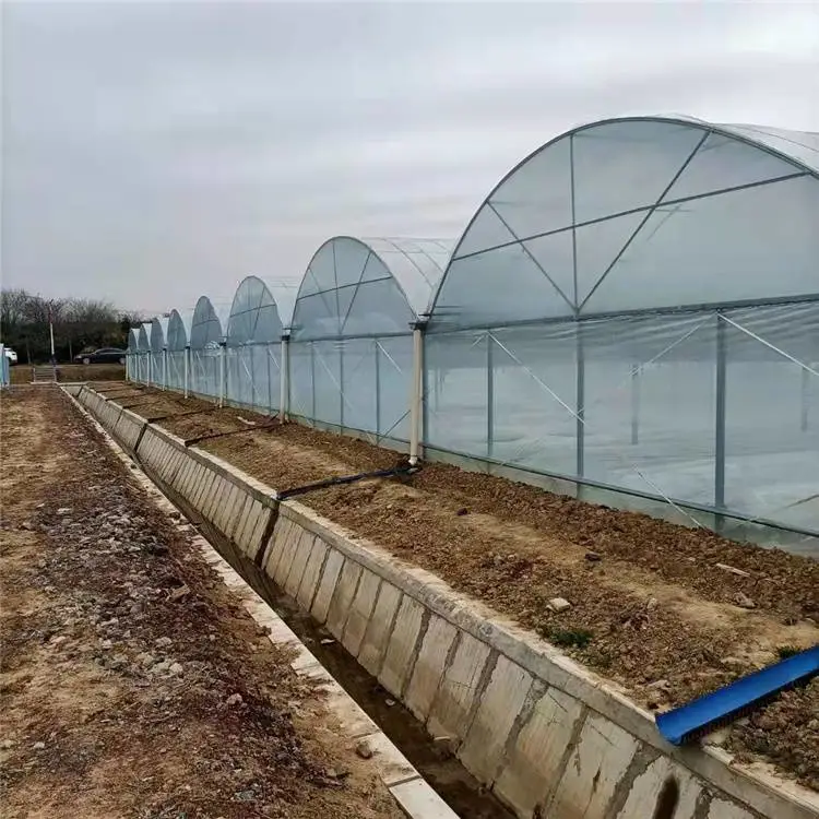 蚌埠怀远温室大棚-农丰大棚骨架厂连栋大棚管
