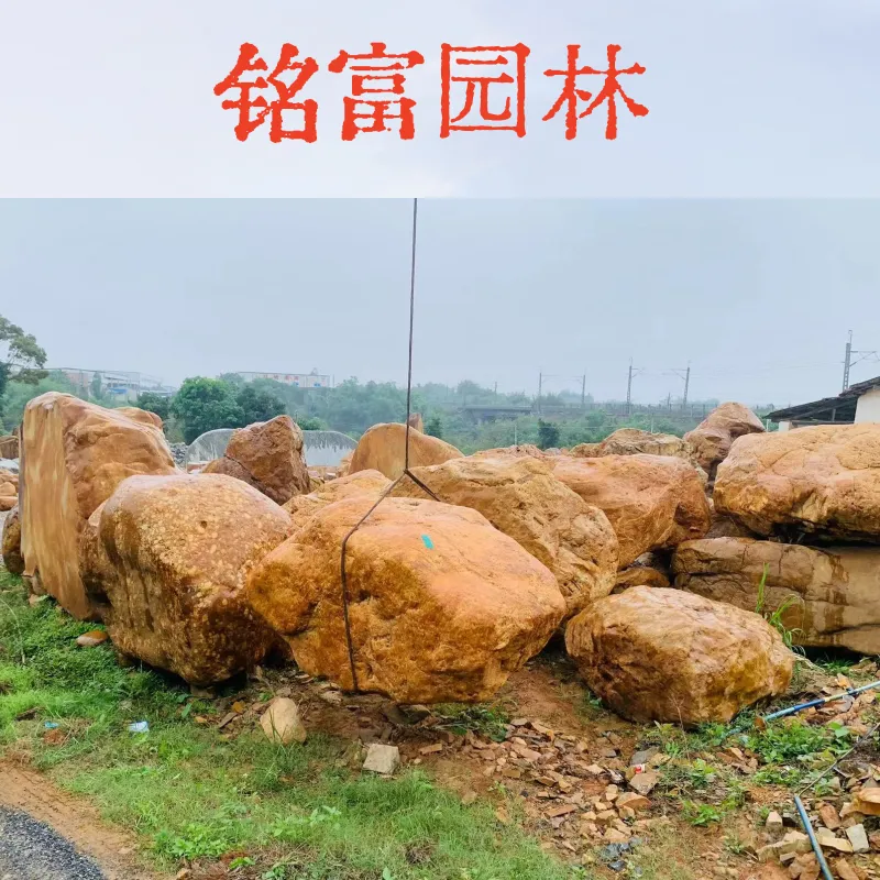 精品大块黄蜡石装车，清 远别墅区堆砌黄蜡石假山，正宗黄蜡石装车