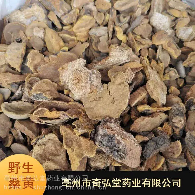 外用味苦桑臣_奇弘堂干货桑臣_亳州市桑臣厂家