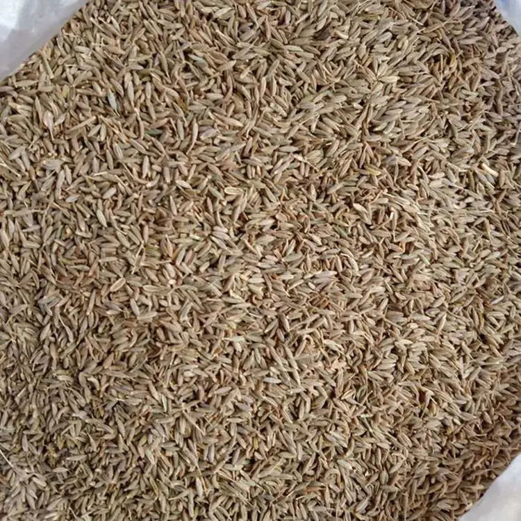 孜然粒 烧烤孜然调味撒料腌料蘸料粉香料羊肉串烤鱼 可磨粉