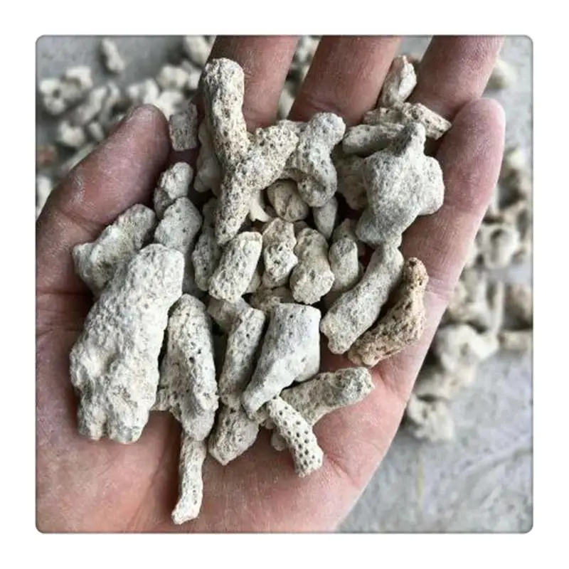海滨供应珊瑚砂 造景珊瑚砂 养殖用珊瑚砂